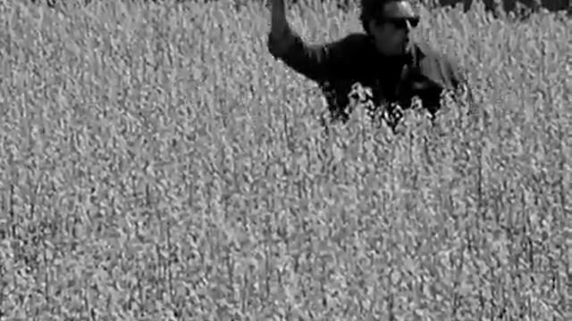 Depeche Mode - Never Let Me Down Again смотреть онлайн