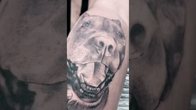 Tatuagem pitbull tattoo