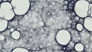 Physarum simulation. Эксперименты с алгоритмом