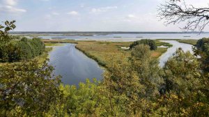 Белая гора – прекрасное место в черте Воронежа. Живописные виды с высоты