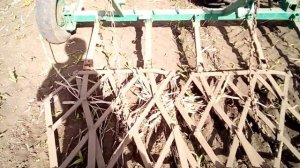 боронование всходов кукурузы тяжелой бороной юмз 6 24 мая 2020