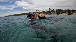 Учимся нырять на 20 метров без акваланга! Freedive. Nusa Penida. Путешествия 2022.