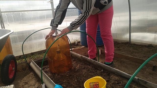 САЖАЮ ЛУК В ТЕПЛИЦЕ, смотреть онлайн