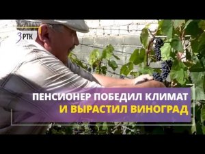 Пенсионер победил Забайкальский климат и вырастил виноград в огороде