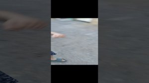 Фильм Doors  3 (3 части нет в Doors это выдуманно)|Seek