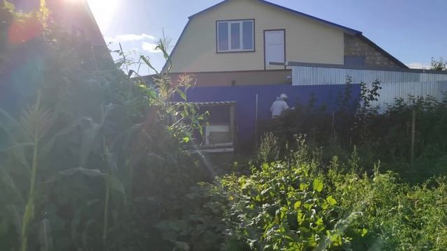 Купили дом в деревне/Хвалюсь/ Вылечили все болезни,сглаз и порчу??/Работа нас не покидает,а находит смотреть онлайн