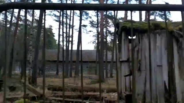 Пионерлагерь Швейник.