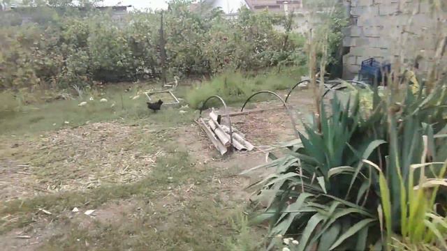 СЕГОДНЯ ПОГОДКА ЗАШИБИСЬ 😃👍👍👍 ПРОХЛАДНО СЕГОДНЯ УТРОМ БЫЛО ДАЖЕ НОЧЬЮ, МЫ АЖ ОКНА ЗАКРЫЛИ. смотреть онлайн