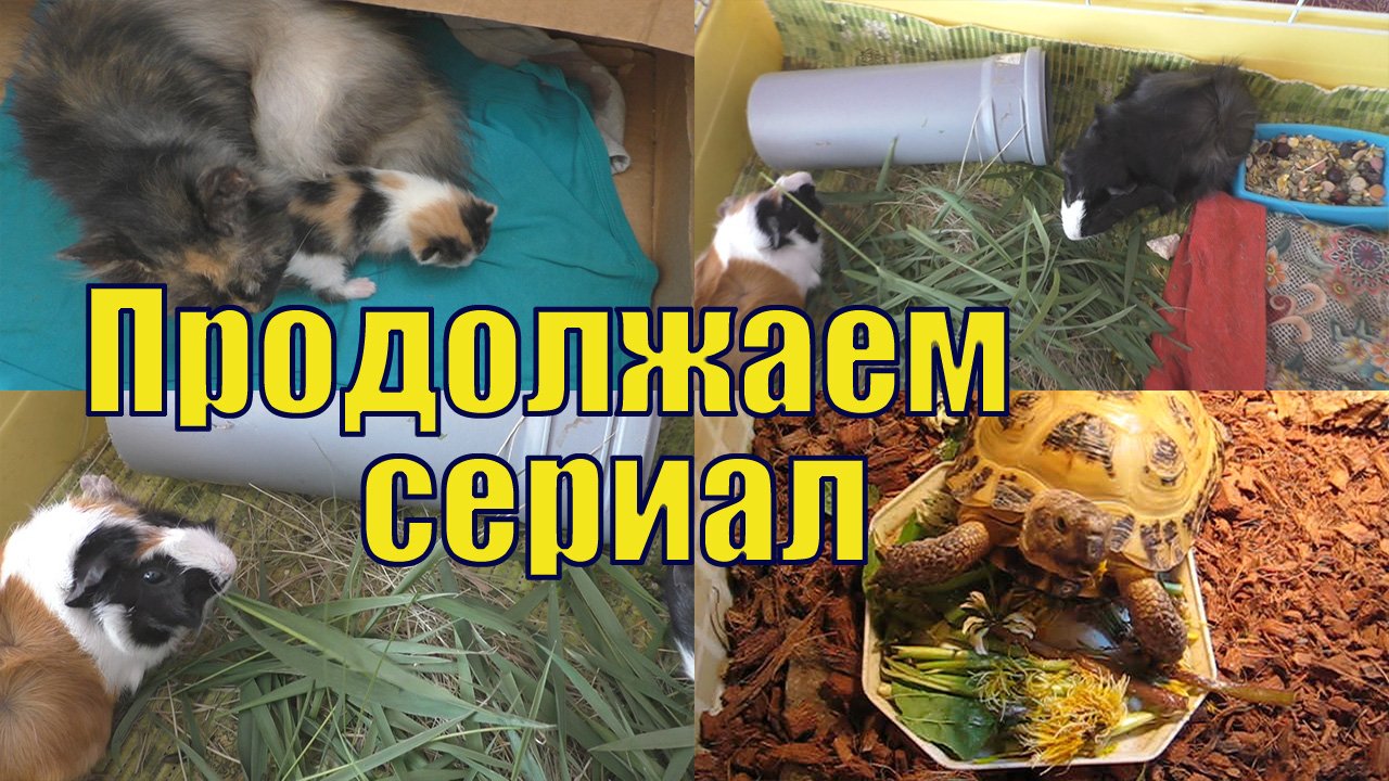 ОТПУСК ПРОДОЛЖАЕТСЯ - СЕРИАЛ ТОЖЕ.mp4