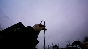 Обрезка  яблони . Три вида крон для плодовых деревьев.