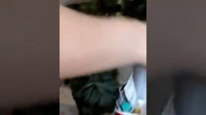 Размножение кустовой бегонии.