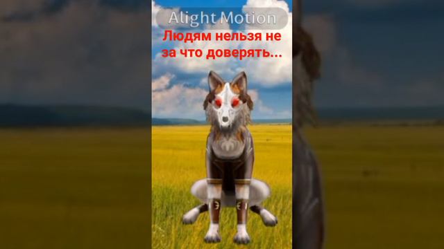 Прошу прощения за много ляпов!😥#2024 #вилд #wildcraft #ролик #видео #вилдкрафт #лаки #анимация