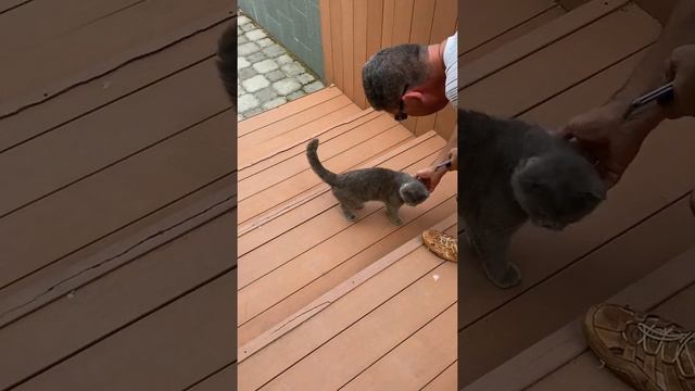 Красивое место под Владивостоком. смотреть онлайн