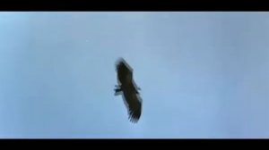 Владимир Карякин Старый гриф стервятник