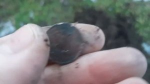 Металлоискатель Minelab GO FIND 44. Первые находки металлоискателя.