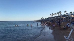 Пляж Отеля Albatros Palace Resort Sharm El Sheikh 5* Что на пляже и где что ?