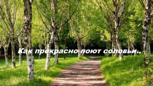 Как прекрасно поют соловьи..