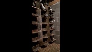 Голуби на КМВ Pigeons on the CMS