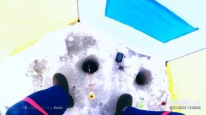 Зимняя рыбалка. Ловля карася с эхолотом Практик ЭР 6 ПРО.