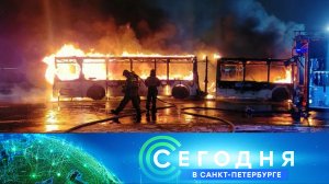 «Сегодня в Санкт-Петербурге»: 25 января 2023 года