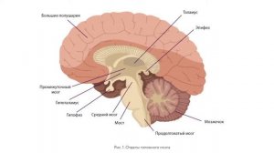 Жемчужины из ларца _. Мини-семинар 5 января 2023 г. 1-я часть, ПРОДОЛЖЕНИЕ
