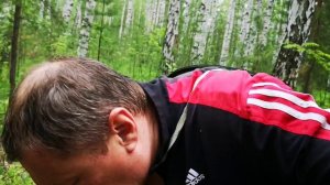 Монетный. Грибы.