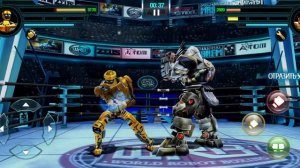 Живая Сталь 2021 Финал ATOM GOLD VS TRI-GORE | Real Steel WRB!