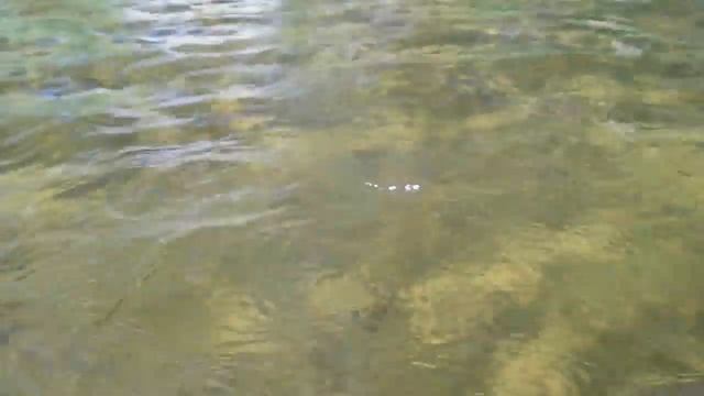 Озеро Большое Зеленодольское. Лето. смотреть онлайн