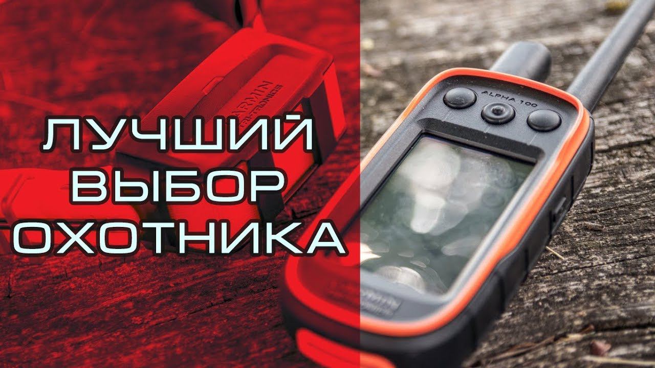 Garmin Alpha100 TT15 - лучший выбор охотника смотреть онлайн
