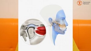 005. Дисфункции височно-нижнечелюстного сустава