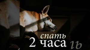 Пробуждение