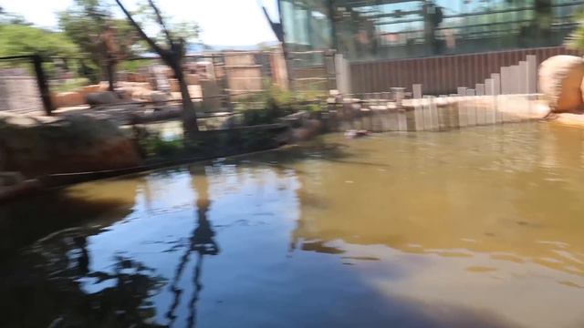 изгониха ли ни от зоопарка в барселона смотреть онлайн