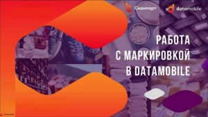 Работа с маркировкой в DataMobile