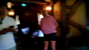 New Zealand. Hobbiton. The Green Dragon. Новая Зеландия. Зеленый Дракон