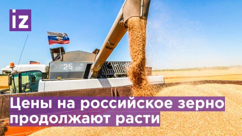 Правительство повышает пошлину на экспорт пшеницы / Известия