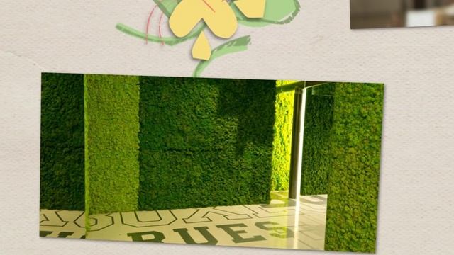 Стены из мха | KruppWalls - фитостены, стены из мха