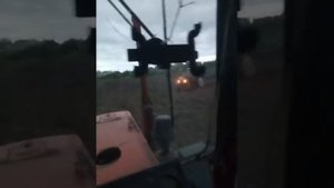 Посев подсолнуха