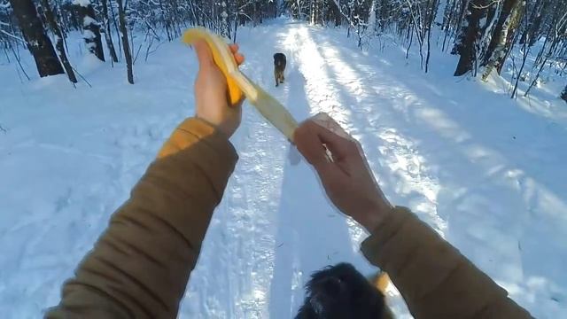 Да что вы знаете о любви к бананам?! Собаки-Миньоны смотреть онлайн