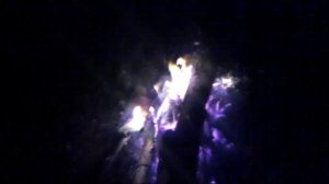 экстремальная ночёвка в логове бродячих лис!