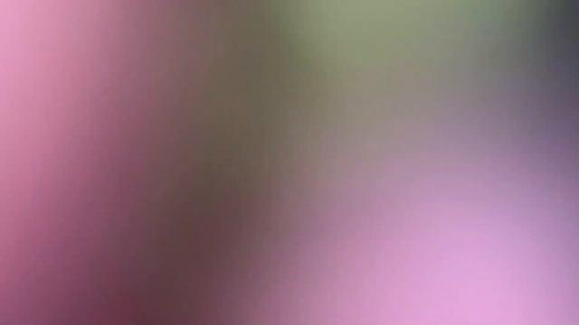 Галловая тля на цветной смородине или почему листья красные ? 23.04.2023 г. смотреть онлайн