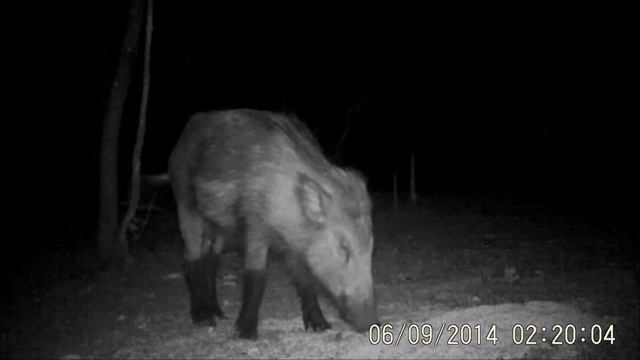 Охотничьи угодья "ЗАЯЧЬИ УШКИ" 5-KMBMAX- смотреть онлайн