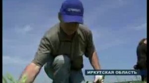 Клад найденный на слете кладоискателей в Иркутске
