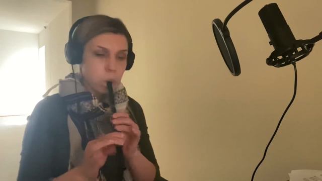 Zombie by Cranberries tin whistle cover #cranberries #zombie #TinWhistle #flute #cover смотреть онлайн