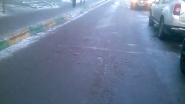 Дрозды в Москве