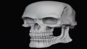 ту ду ду ду ду ду