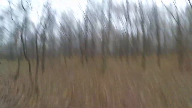 Терлецкие пруды. Часть 1 смотреть онлайн