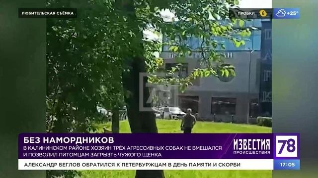 Программа 