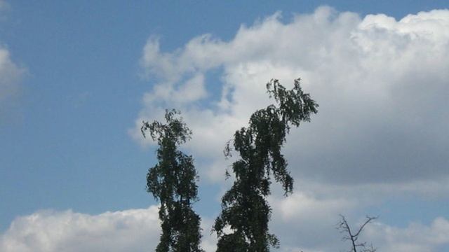Параллельная  реальность...