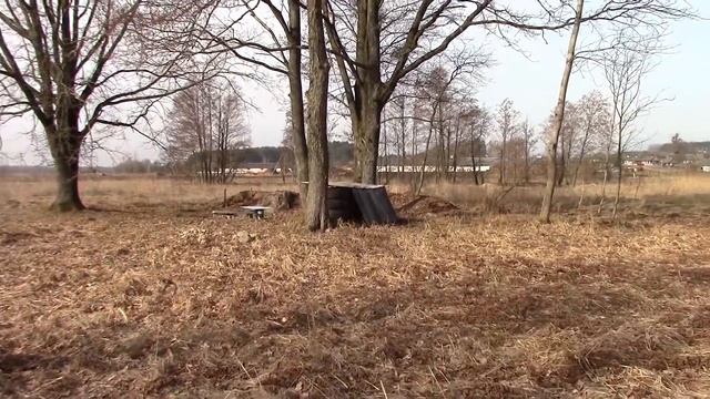 Что стало с домом и солнечным участком за два года. Художник в деревне. ВЫВОДЫ