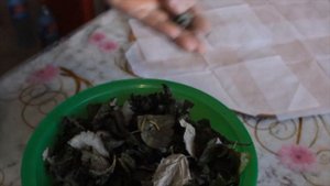 ЧАЙ домашний на зиму, из листьев МАЛИНЫ, ЕЖЕВИКИ, СМОРОДИНЫ/ Homemade leaf tea fruits and berries
